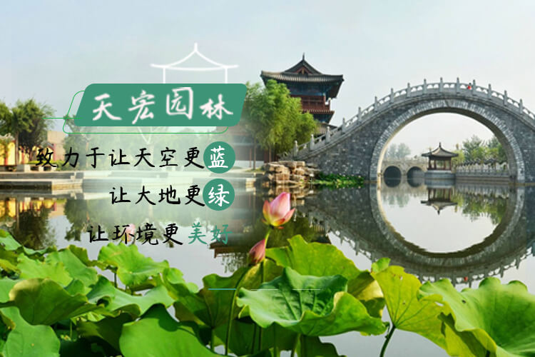 北京天宏園林綠化養護草莓视频污视频下载-草莓视频app下载地址-草莓视频下载18-草莓视频ios版