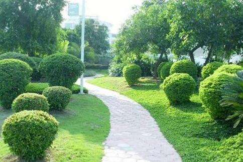 如何控制園林綠化養護費用？